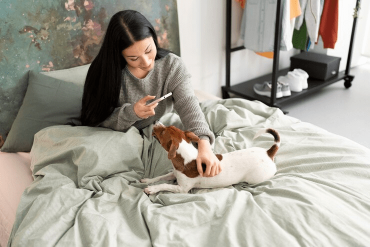 Hospedagem Pet-Friendly em Balneário Camboriú - O que é