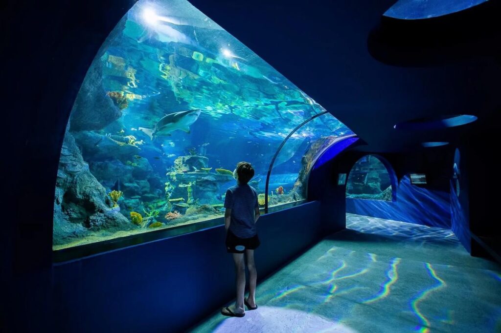 aquario 1
