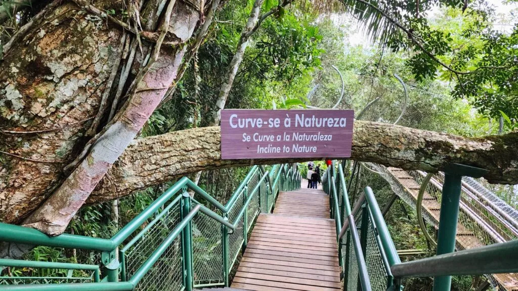 3 trilhas fáceis em Balneário Camboriú para todas as idades 1 trilhas unipraias