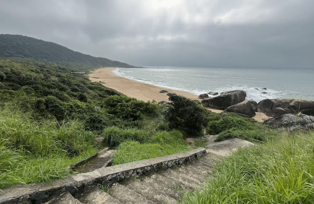 4 trilhas fáceis em BC com vista para o mar 3 image 58