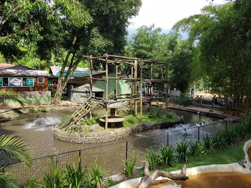 Zoo Pomerode 2025: valores de ingresso, horários e como ir de BC 1 Zoo Pomerode 2.jpg