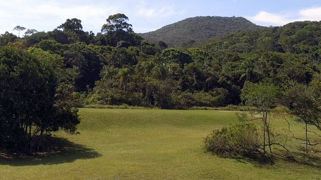 image 80