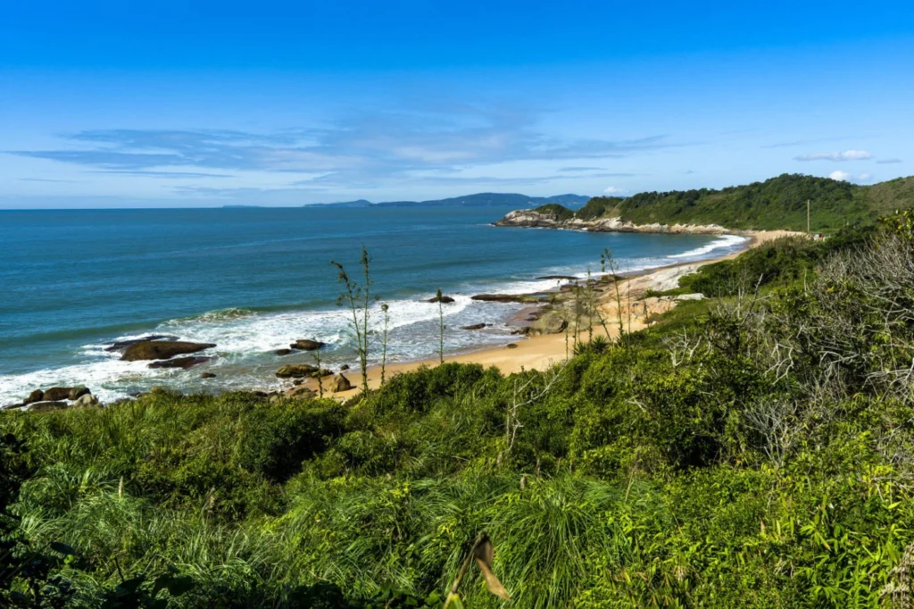 Guia da Praia do Pinho: como chegar, normas e o que esperar 1 2025 02 07 imagens nossas praias pinho pinho 2