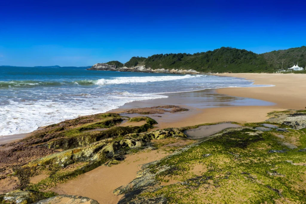 Guia da Praia do Pinho: como chegar, normas e o que esperar 2 2025 02 07 imagens nossas praias pinho pinho 4