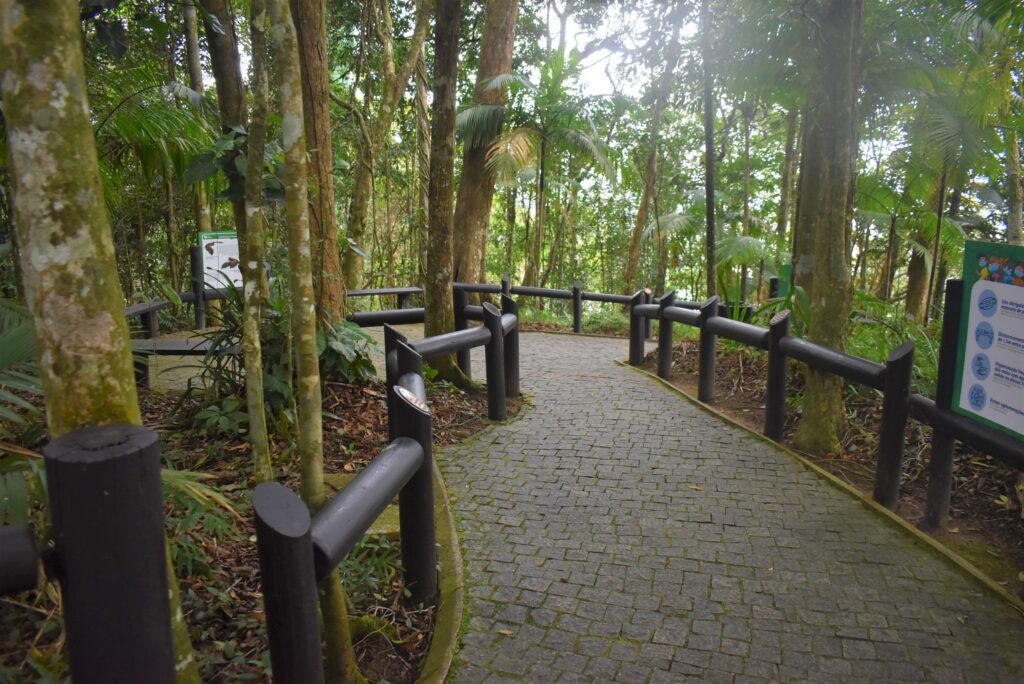 Tudo sobre o Bondinho em Balneário Camboriú 1 Estacao Mata Atlantica 1