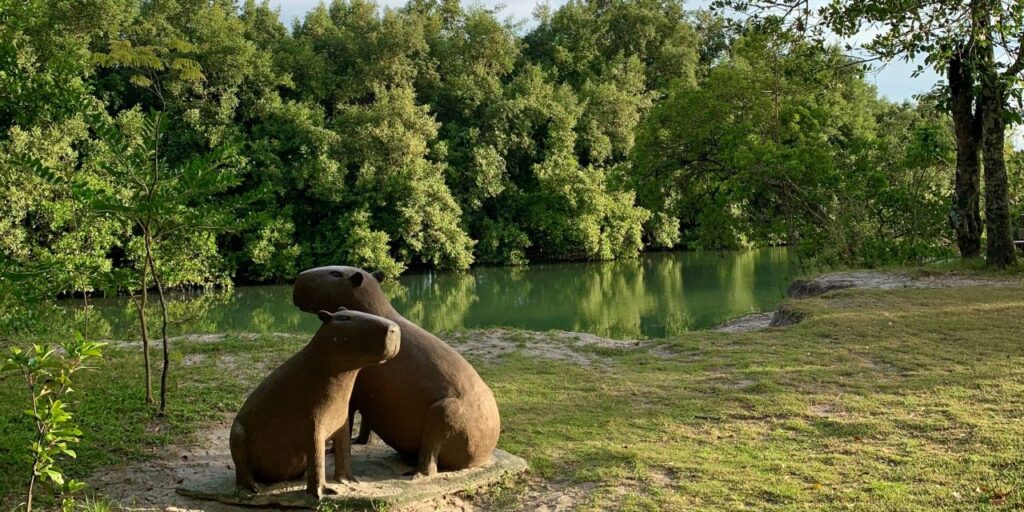 Itapema Meia Praia: Dicas de o que fazer 1 Parque das Capivaras
