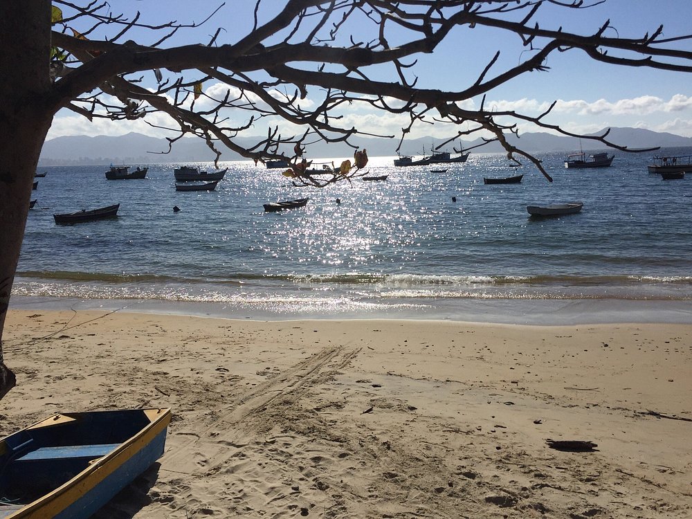 Tudo sobre a praia do Araçá em Porto Belo 2 Tradicao que resiste ao tempo