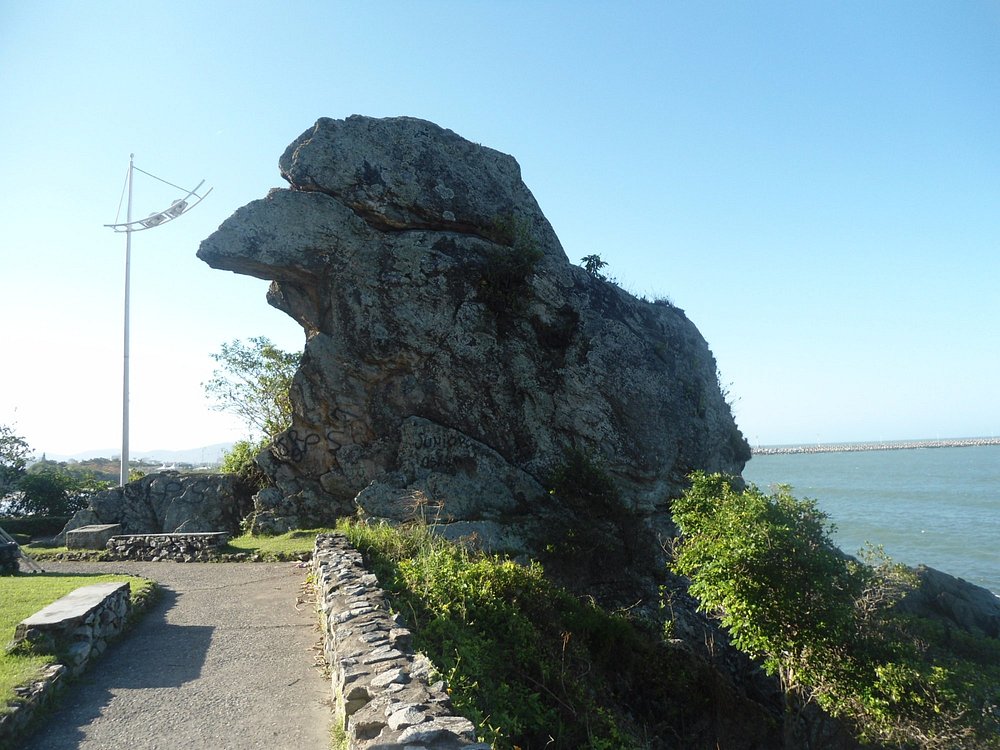 Bico do Papagaio em Itajai