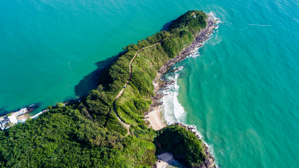Playas de Itajaí: guía completa para disfrutar de la costa 3 image 95